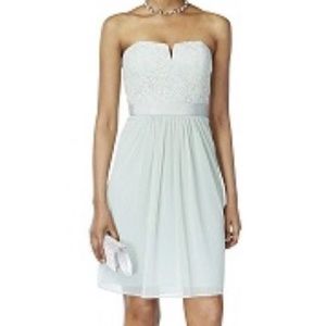 NWT Mint Green Lace Strapless Cocktail Midi Dress